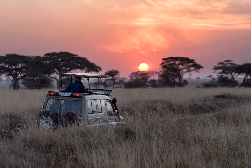 Kenyan Safari Adventure
